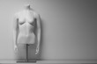 White female mannequin torso