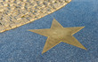 Bronze Star on the granite floor