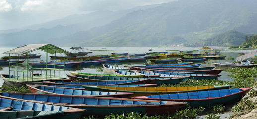 Colorful boats parked on the bank of Phewa lake