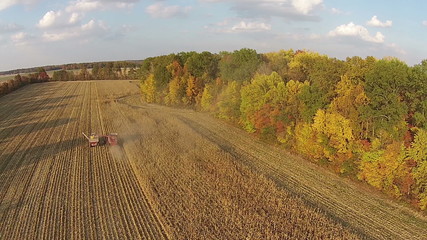 Wall Mural - Aerial footage of corn harvest in Illinois