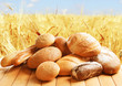 Fresh bread on wheat field background