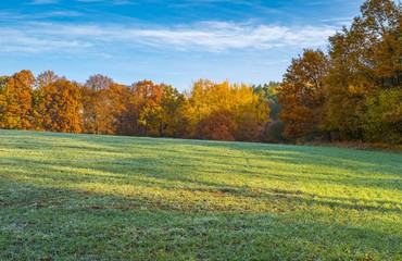 Wall Mural - Green field at autumnal morning