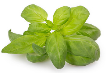 Wall Mural - Fresh basil