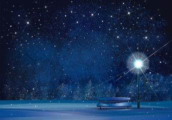 Wall Mural - vector winter wonderland night background.