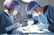 © nimon_t - two veterinarian surgeons in operating room take with art lighting and blue filter