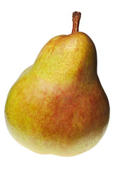 Sticker - pear isolated