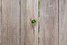 Rough Wooden Fencing With Knot Hole