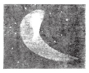 Wall Mural - telescopic view of halley's comet, as it appeared on nov. 5, 183