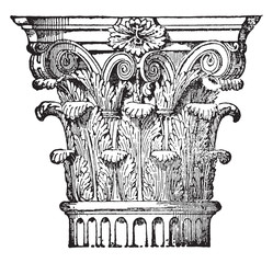 Wall Mural - corinthian capital, vintage engraving.