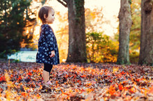 Toddler Girl Standing Outside In The Fall Leaves At Sunset
