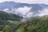 Fototapeta Natura - Morning mist with mountain in Chiang Dao National Park ,Chiang Mai, Thailand.