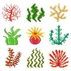 Wall Mural - Pixel seaweed for games icons vector set