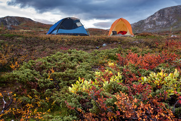 Wall Mural - camping im herbst