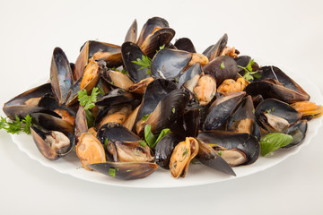 big group steamed fresh mussels on white plate