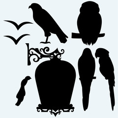 Wall Mural - Set Birds: eagle, owl, parrots and seagulls. Isolated on blue background. Vector silhouettes
