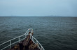 © igarek - Возвращение
