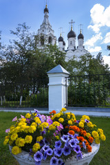 Wall Mural - Church and Flowers