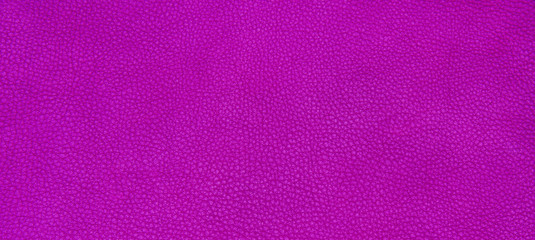 Leather purple texture