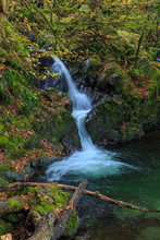Waterfall In The Quinault State Park, Olympic Peninsula, Washington, USA