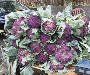 cauliflower on the market