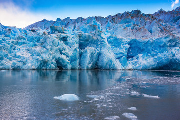 Canvas Print - Giant iceberg and ice floes