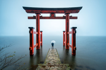 Fototapete - Hakone Shrine in Japan