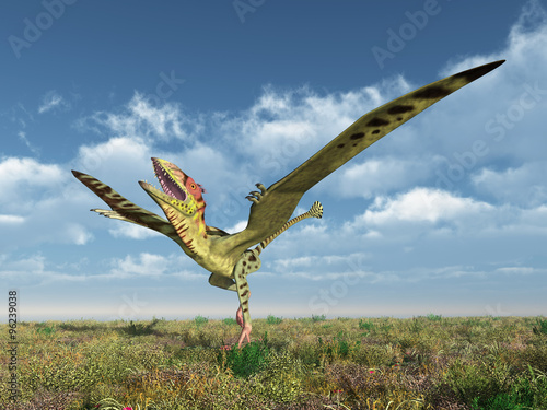 Fototapeta na wymiar Pterosaur Peteinosaurus