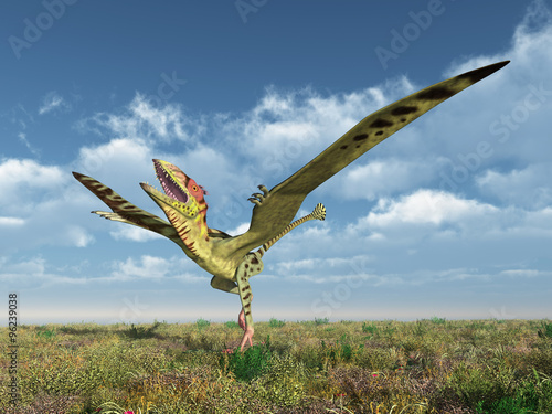 Naklejka na szafę Pterosaur Peteinosaurus