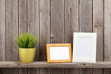 Blank Photo Frames And Plant