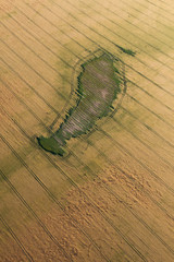 aerial view of  harvest fields in summer