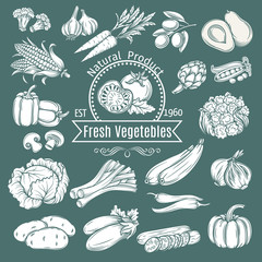Canvas Print - Set hand draw decorative isolated vegetables.