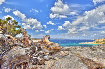 Sea Landscape in HDR