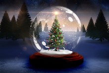 Christmas Tree In Snow Globe  