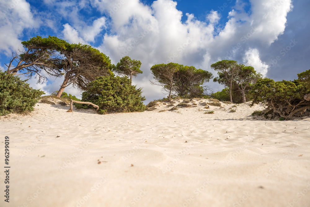 Sardegna Le Spiagge Più Belle Cosa Vedere Tangaroa Viaggi