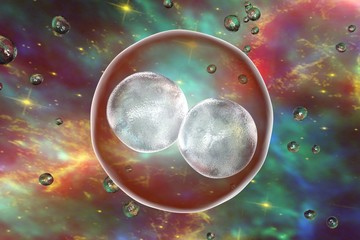 human embryo on the stage of two cells on space background with galaxies. elements of this image fur