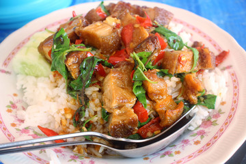 Sticker - Fried pork and basil with rice