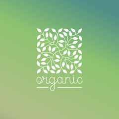 Wall Mural - Vector organic and natural emblem and logo design template - green ecology concept or natural cosmetics - square made with leaves