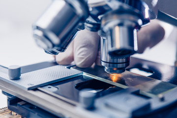 Wall Mural - scientist hands with microscope