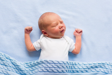 Wall Mural - newborn baby boy on a blue blanket