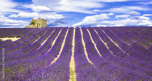 Naklejka samoprzylepna Kwitnące fioletowe feeldy lavander w provance, francja