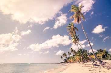 Sticker - Caribbean beach in Dominican Republic