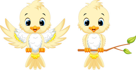 Wall Mural - cute bird cartoon