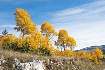 Autumn landscape in mountains