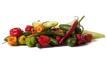 Bunch Of Hot Peppers