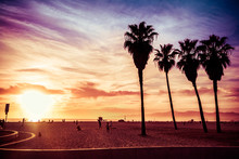 Palm Trees At Venice Beach, Los Angeles, California. Sunset Scene. Vintage Post Processed. Fashion, Travel, Summer, Vacation And Tropical Beach Concept.