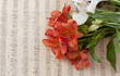 Bouquet of alstroemeria flowers on vintage styled sheet music