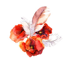 Watercolor Poppy Flower And Feather. Floral Watercolor 
