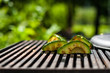 Avocado quarters prepared on the grill