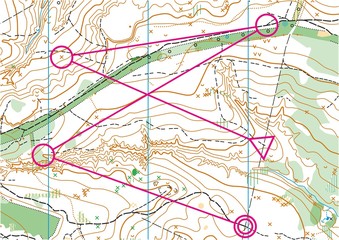 Topographic vector map