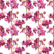 Seamless pattern with orchids on white background 